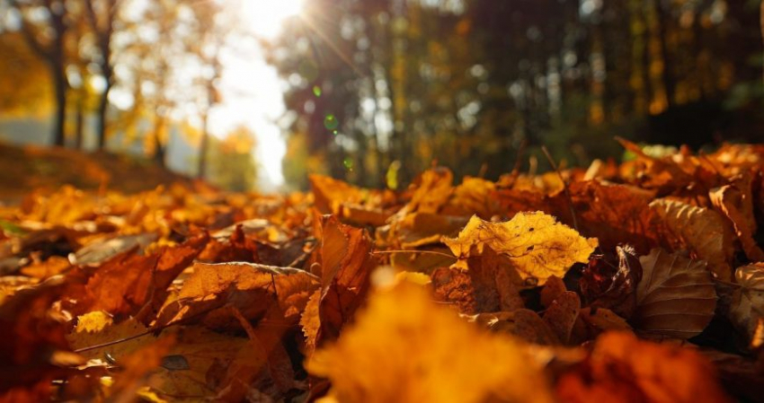 Какой праздник сегодня, 4 сентября, отмечают в разных странах мира