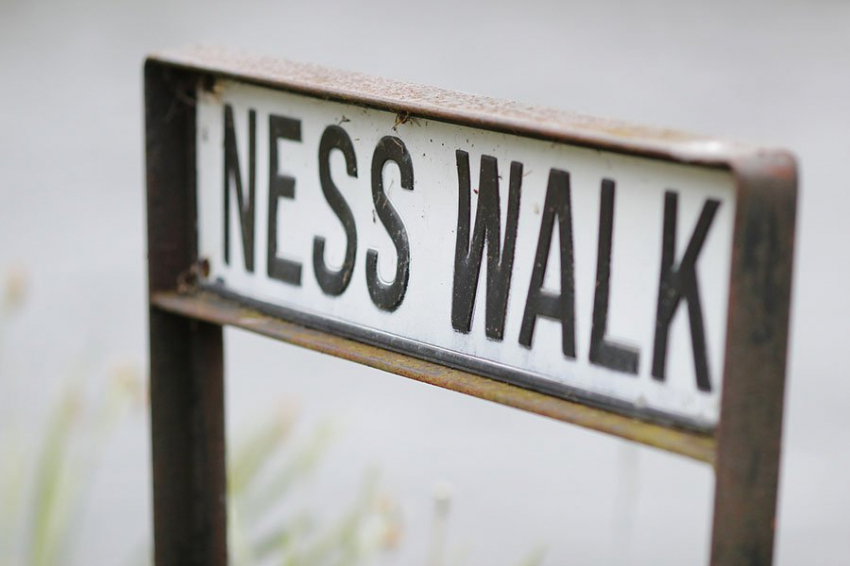 Британские эксперты объяснили, почему люди так одержимы поисками Лох-Несского чудовища