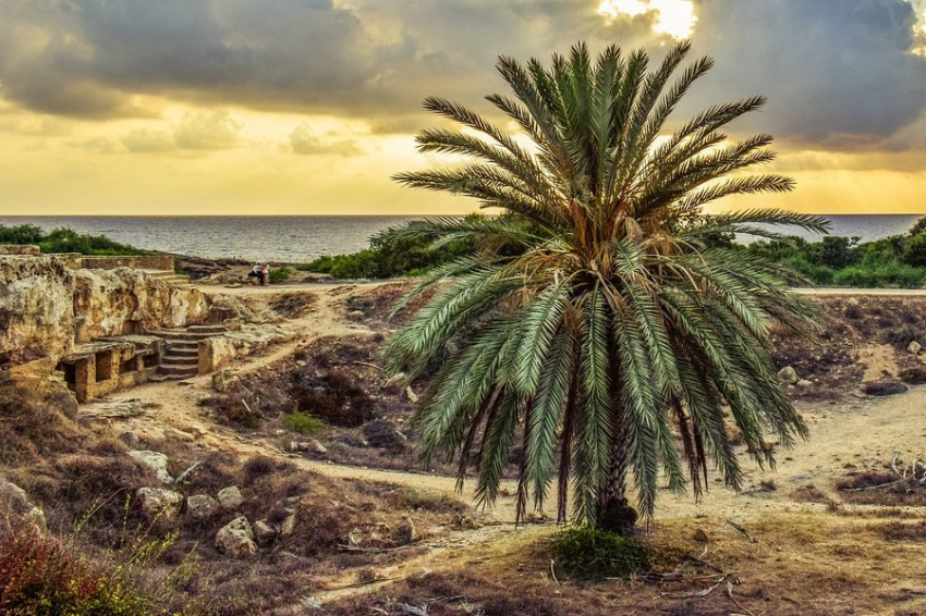 Sputnik: в Африке найдены следы обуви возрастом сто тыс. лет