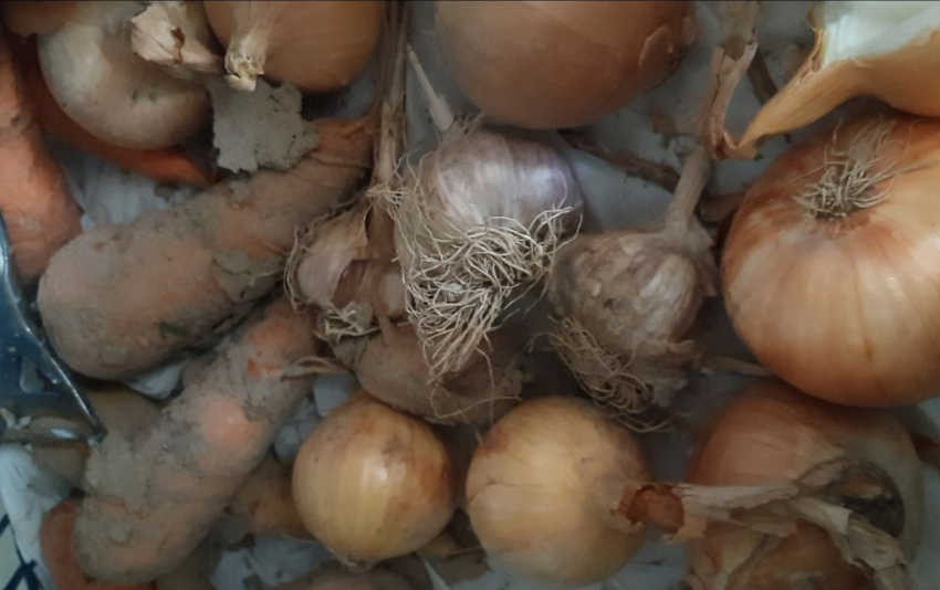 Сохраняйте чеснок на зиму как профессионал: подробная инструкция и проверенные способы