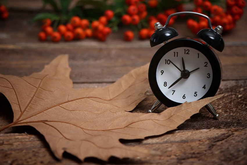 Исследование: «совы» имеют более высокий риск заболеть диабетом 