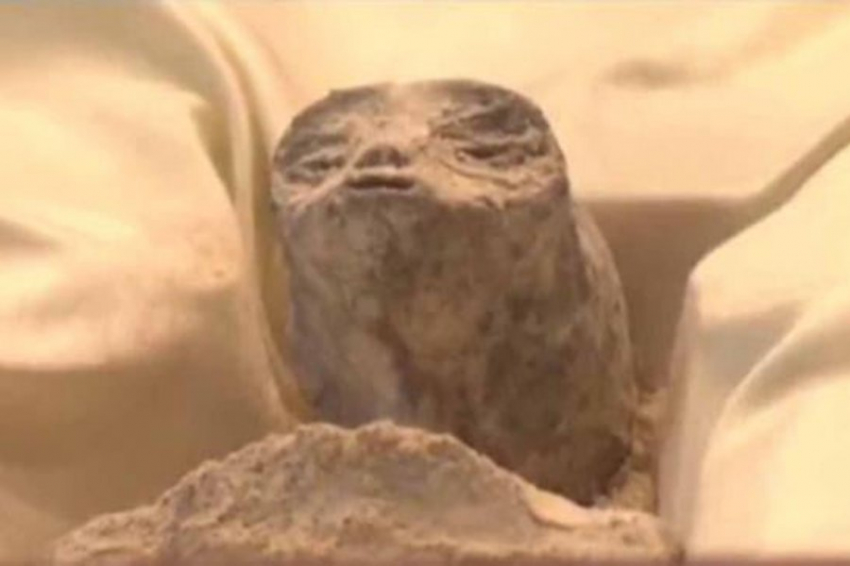 «Нечеловеческие» тела представлены на Конгрессе Мексики