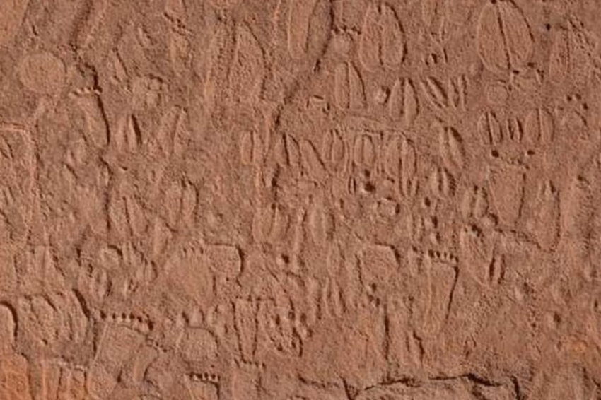 В Намибии обнаружены сотни доисторических наскальных следов животных и людей