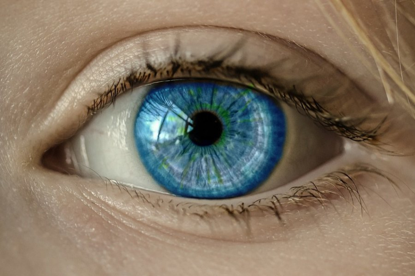 Nature: учёными создан искусственный интеллект, прогнозирующий болезни глаз и инфаркт