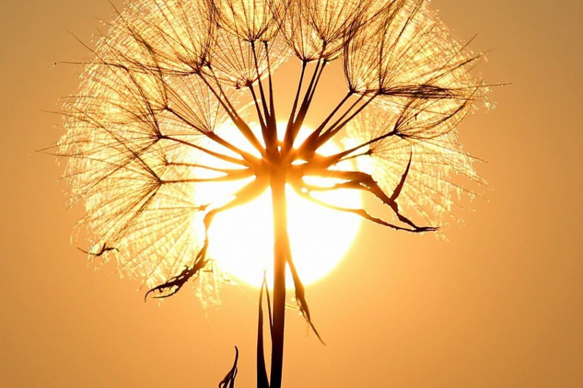 Созданные учёными новые, настраиваемые лазером, наночастицы "приручат" энергию Солнца