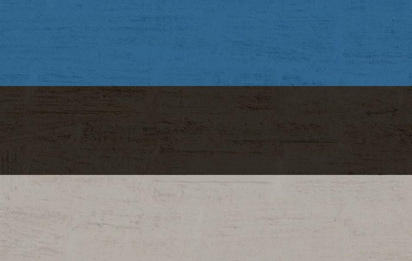 Глава МВД Эстонии Ляэнеметс заявил, что власти отказалась принимать высылаемых из Латвии граждан РФ