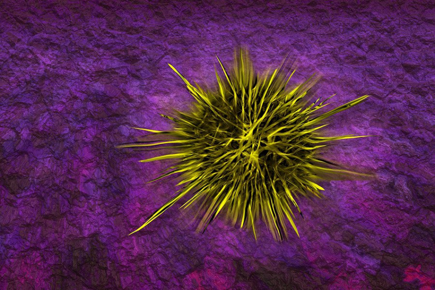 Определенные кишечные микробы могут быть связаны со здоровьем скелета