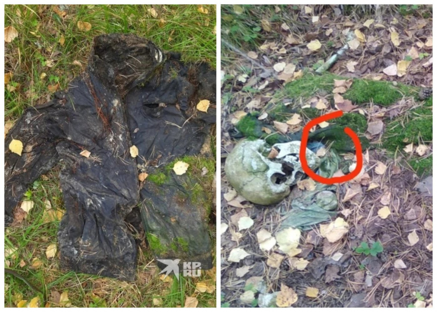 Опубликованы фото останков студента, пропавшего на Урале 6 лет назад