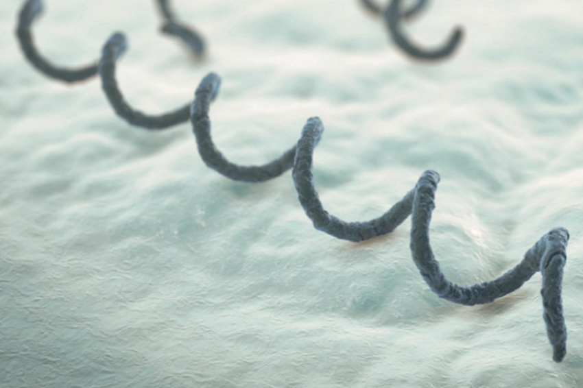 Исследователи представили новую версию происхождения сифилиса в Европе