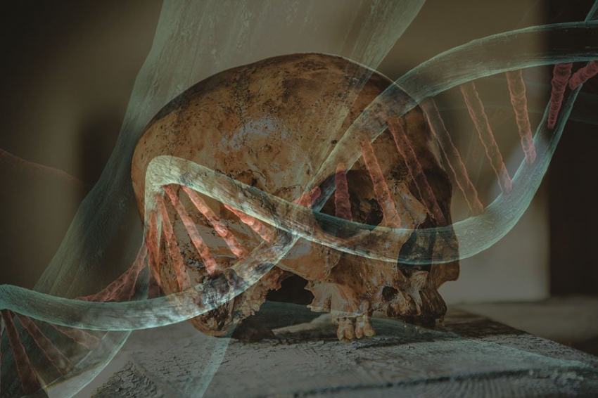 Неандертальцы, сосуществующие с Homo sapiens в Европе, вероятно, пострадали от способности травоядных животных питаться