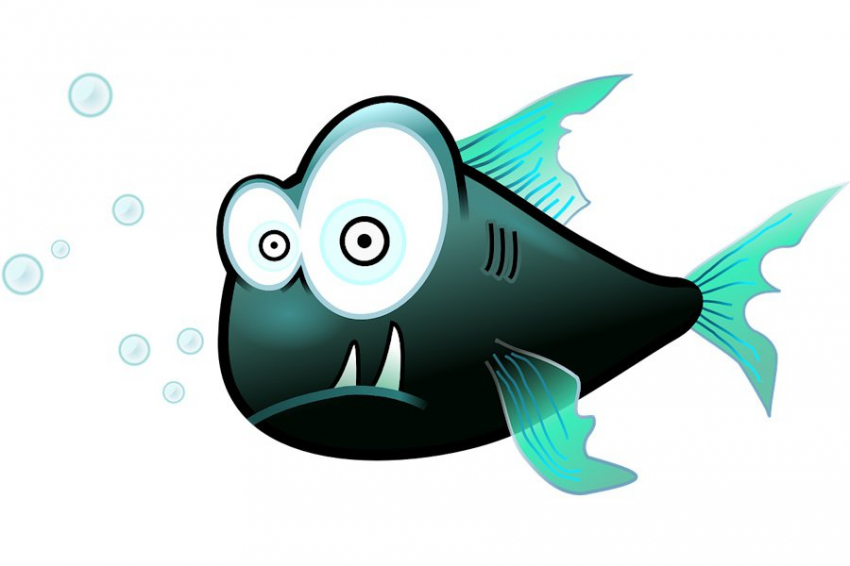 Эксперименты на рыбах выявили причины "заячьей губы" у людей