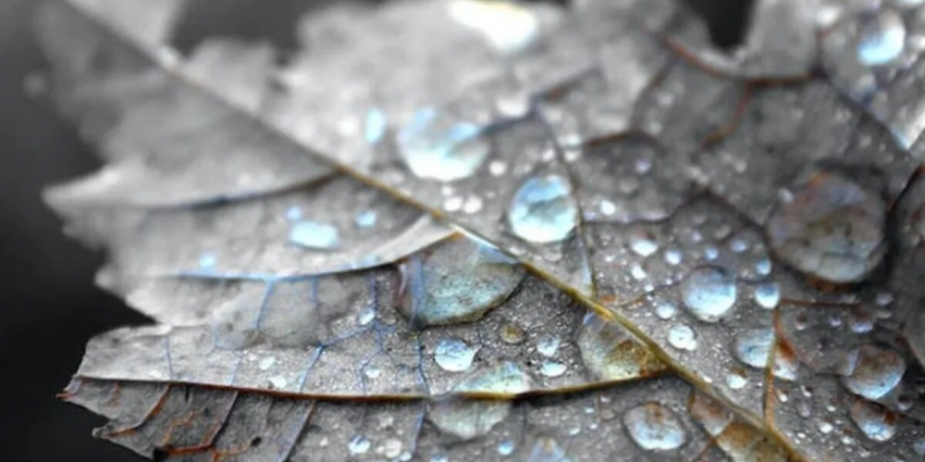 Последние теплые дни в Центральной России прогонит антициклон: прогноз погоды для Москвы, Петербурга и Новосибирска на октябрь 2023