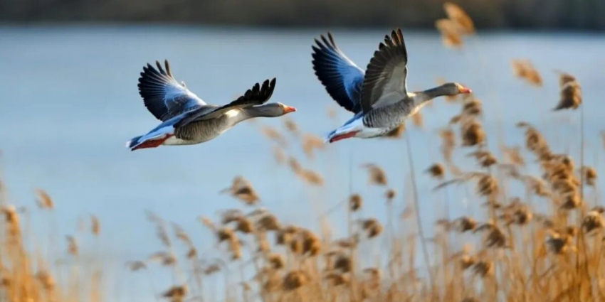 Не гневи Бога 29 сентября: церковный праздник святой Евфимии Всехвальной, народные традиции и приметы