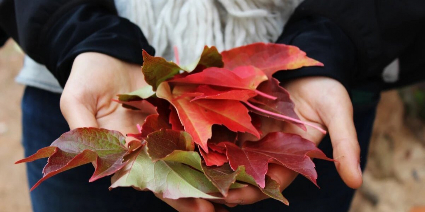 День Веры, Надежды, Любови и матери их Софии: запреты на работу