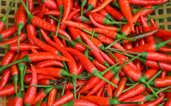 Диетолог Мансурова назвала смертельную дозу острого перца для человека
