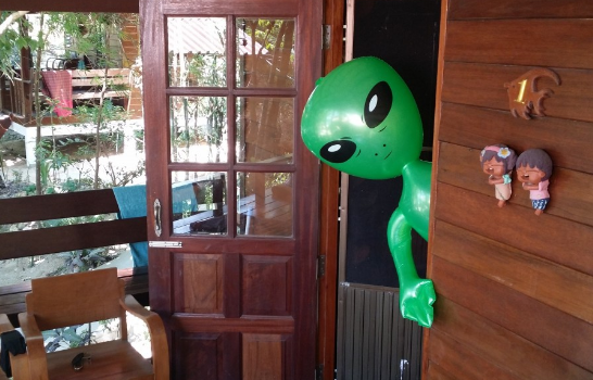 В США пообещали выплатить 1 миллион долларов тому, кто снимет на камеру инопланетян