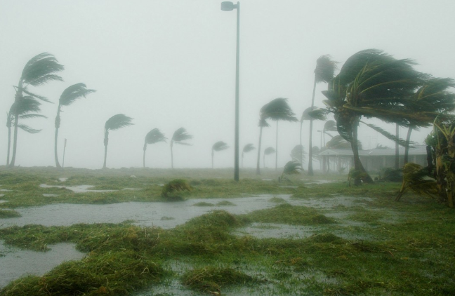 Подсчитан глобальный ущерб от экстремальных погодных явлений