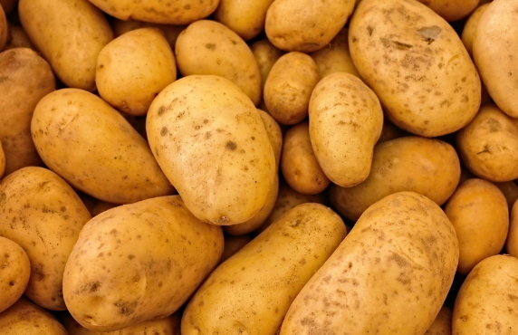 Россиянам запретили выращивать картофель из-за серьезных заболеваний