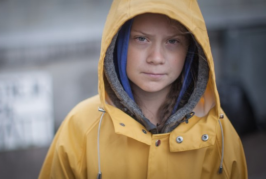 Грета Тунберг приговорена к штрафу за новый случай неповиновения полиции