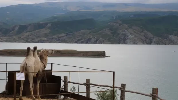 Египетские курорты: могут ли туристы наслаждаться спокойным отдыхом