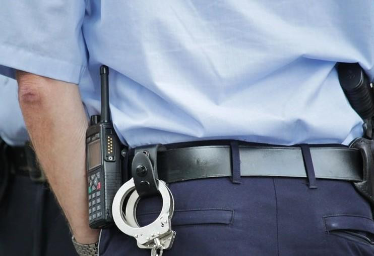 В Ленобласти на трассе найдены расчленённые останки неизвестного мужчины