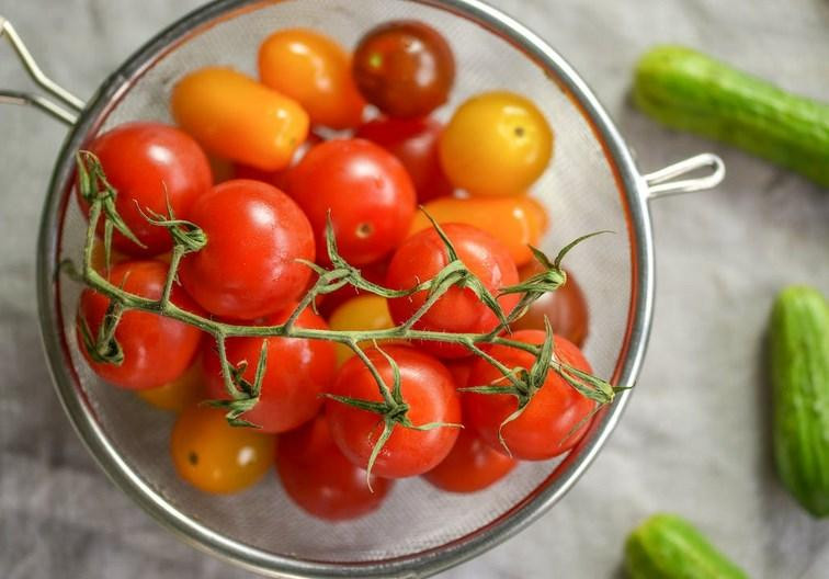 Агроном Коврижных назвала дачникам способ поднять урожайность помидоров и огурцов