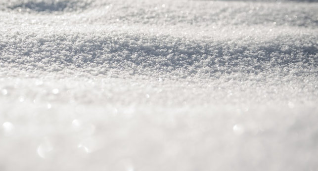 Врач Каневская рассказала, какие витамины нужны для укрепления иммунитета зимой