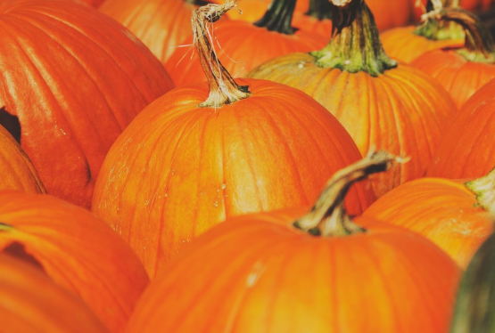 Астроном Викулов рассказал о правилах выбора и хранения тыквы