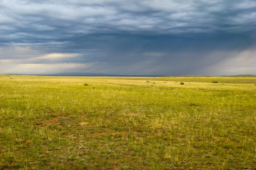 Испанские учёные раскрыли тайну "Ведьминых Кругов"