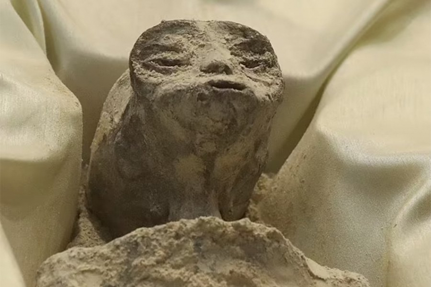 Названы пять известных случаев, когда на Земле были найдены «останки инопланетян»