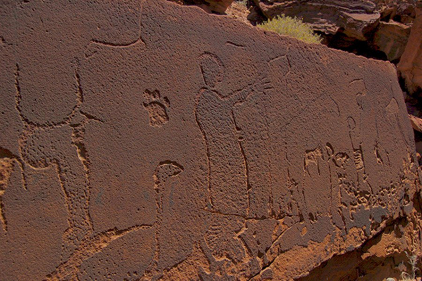 PLOS ONE: доисторические резные изображения настолько точны, что можно определить пол, возраст и вид животных