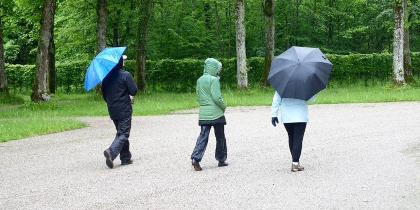 В Гидрометцентре рассказали, чем россиян удивит октябрь 2023: Октябрь в России будет переменчивым, с чередованием теплых и холодных дней