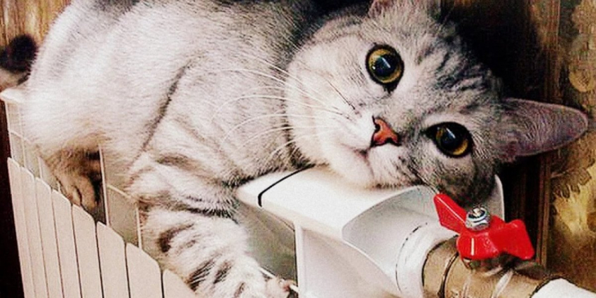 Когда дадут тепло: дата начала отопительного сезона