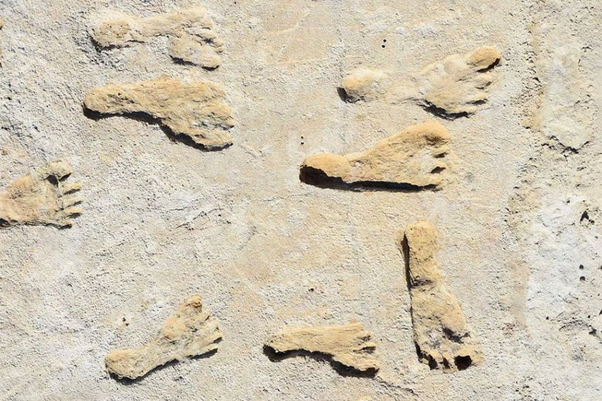 Самые старые известные следы Северной Америки указывают на более раннее прибытие человека на континент