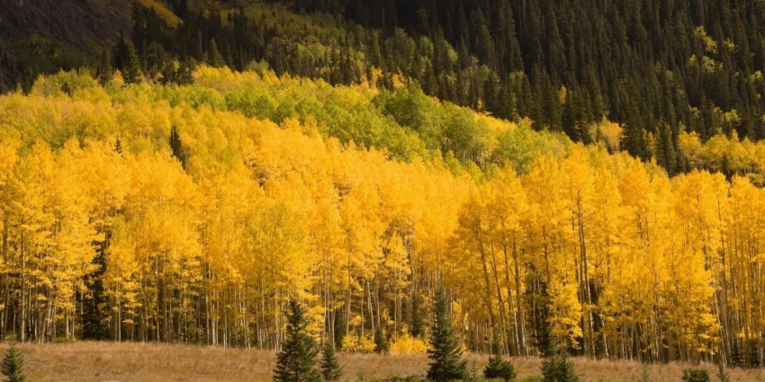 Какой сегодня церковный праздник? 8 октября 2023 года православные христиане отмечают три церковных праздника