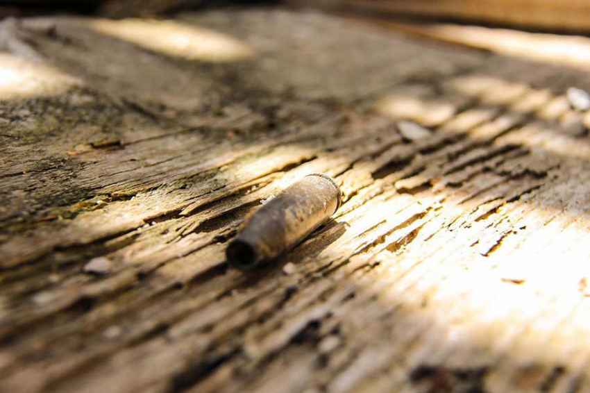 На юге Израиля найдены тела 260 участников музыкального фестиваля Nature Party