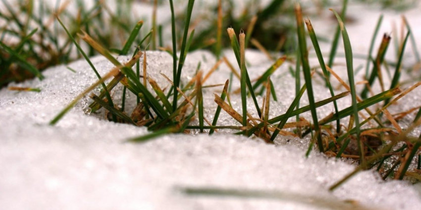 Вторая волна бабьего лета в ЦФО: когда ждать потепления и снега