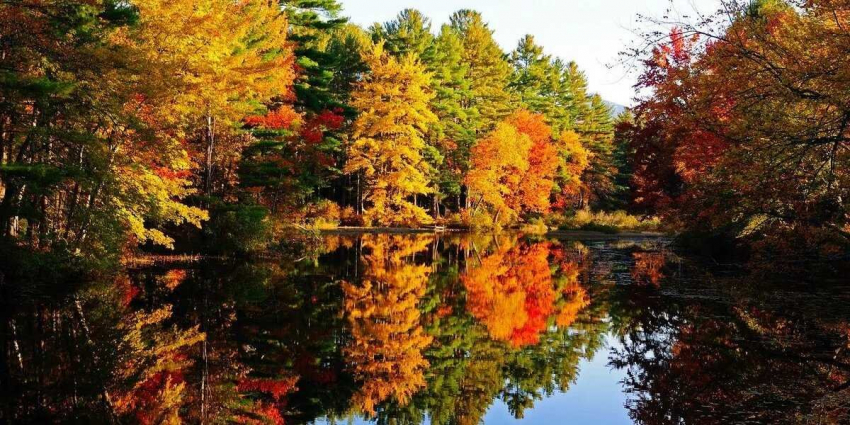 Магнитная буря 11 октября 2023: вспышка М2.35 подала Земле предупреждающий сигнал — потоки плазмы несутся к планете с новым штормом