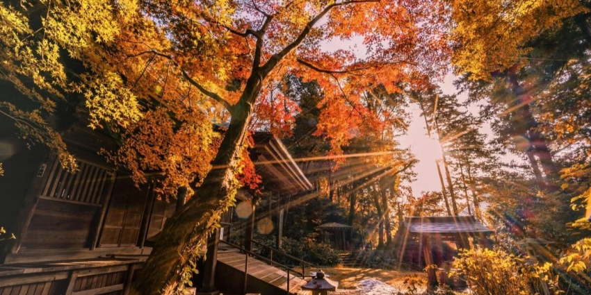 Какой сегодня церковный праздник? Что можно делать 11 октября 2023 и что нельзя, народные приметы