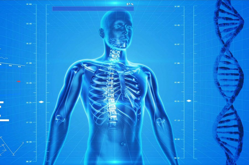 Лекарства будущего могут принять форму крошечных искусственных форм жизни