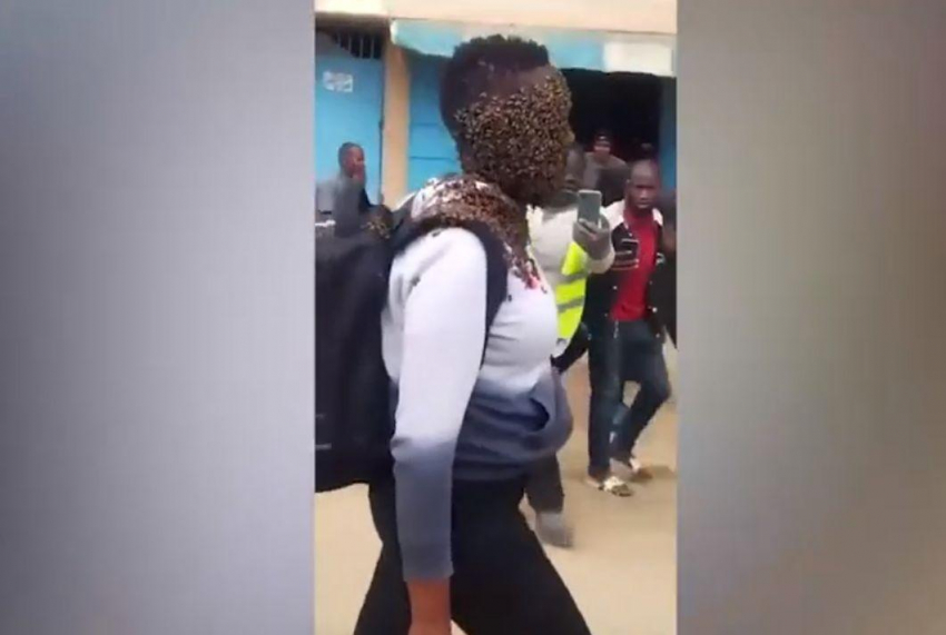 В Кении знахарь заставил воровок сдаться полиции с помощью тысяч пчел