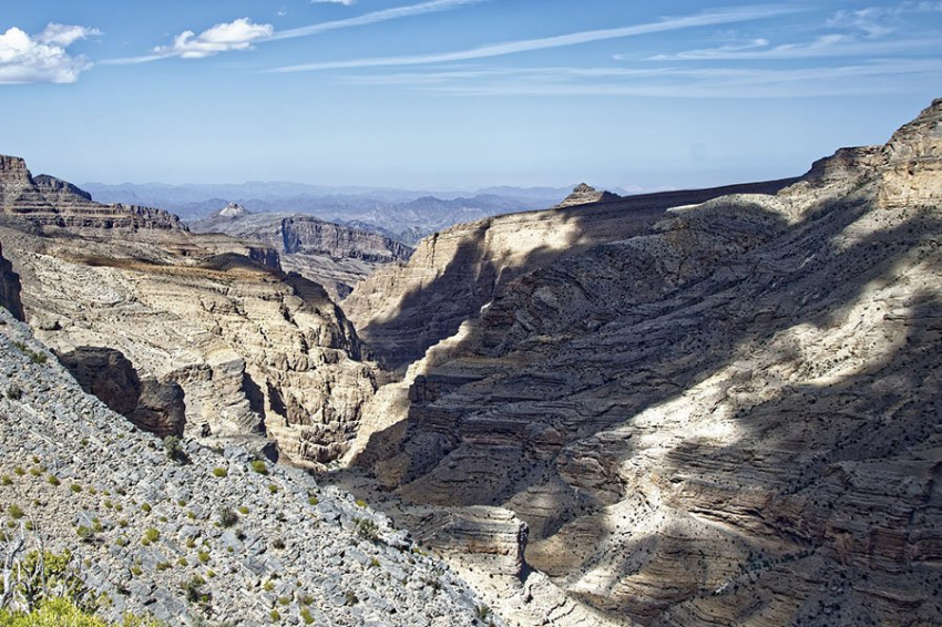 На новом южноамериканском участке обнаружены необычайные окаменелости конца эпохи динозавров