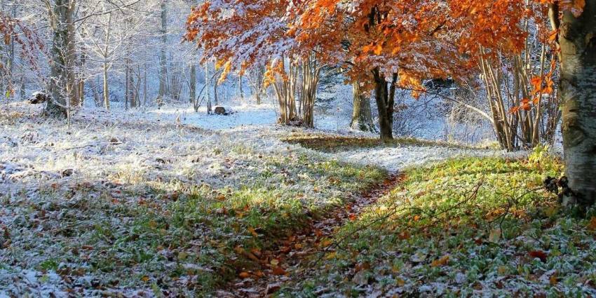 Осенние каникулы 2023 — когда школьники будут отдыхать