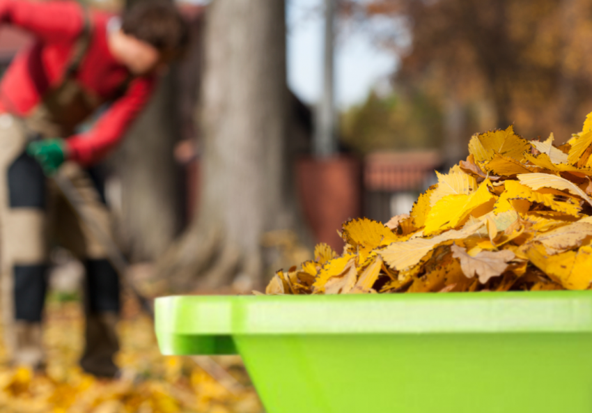 Что можно делать в саду и на огороде по лунному календарю огородника 17 октября 2023 года