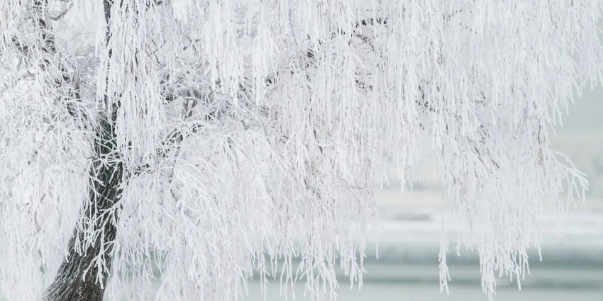 Когда начнется Рождественский пост в 2023 году