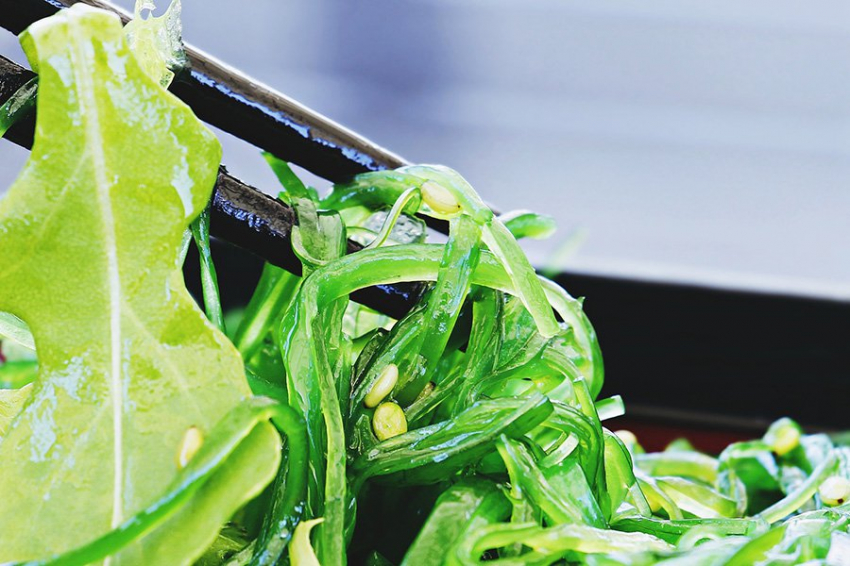 Nature: наши европейские предки ели морские водоросли и пресноводные растения