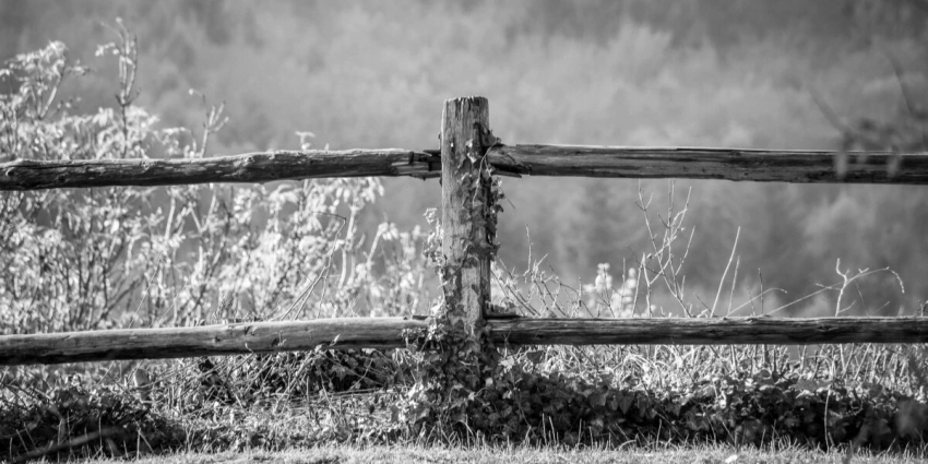 Какой сегодня церковный праздник? 18 октября 2023 года в православном календаре отмечается сразу несколько праздников