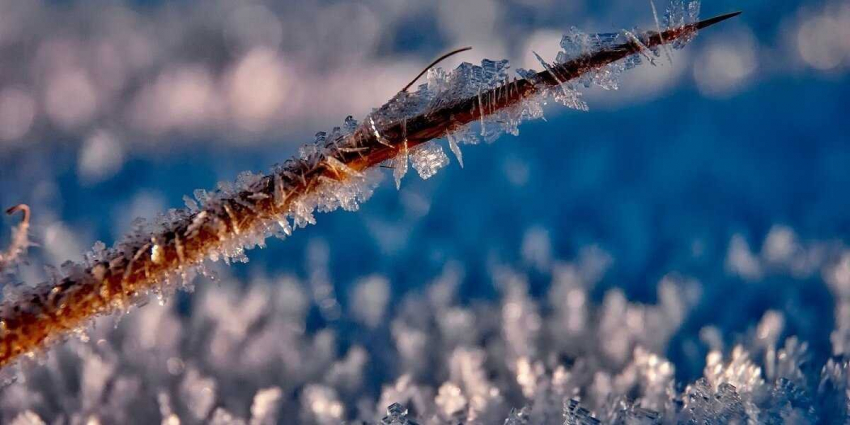 Какой будет предстоящая зима в Москве