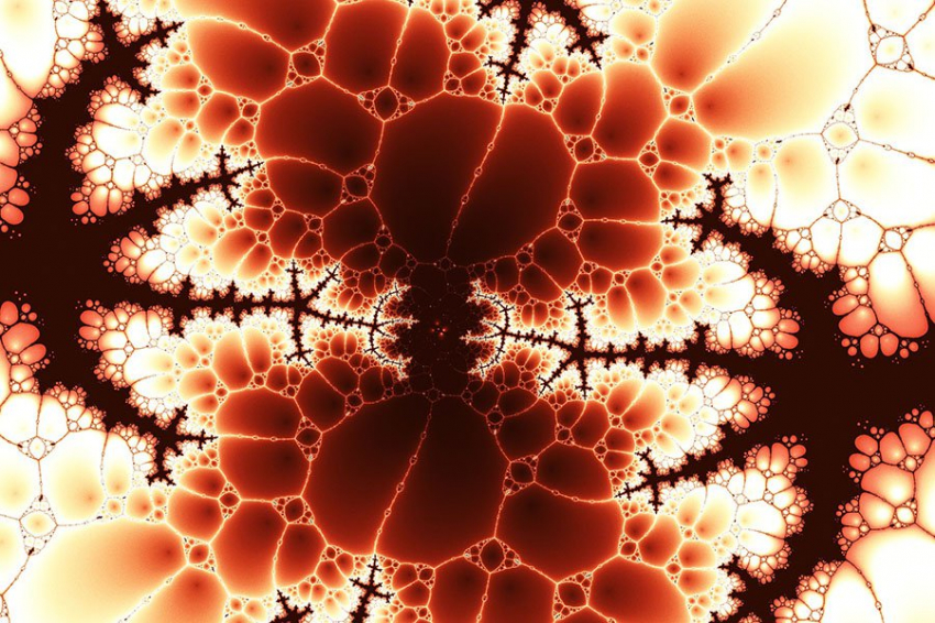 Ученые обнаружили новую молекулу, которая борется с вирусной инфекцией у бактерий