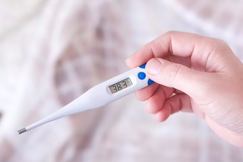 Разработан калькулятор для вычисления индивидуальной нормы температуры тела